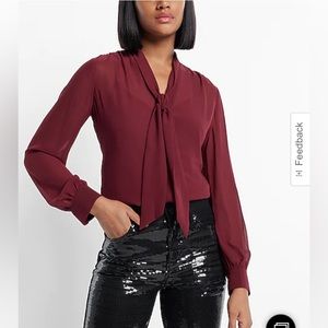 Express Sheer Long Sleeve Tie Neck Relaxed Portofino Shirt XS